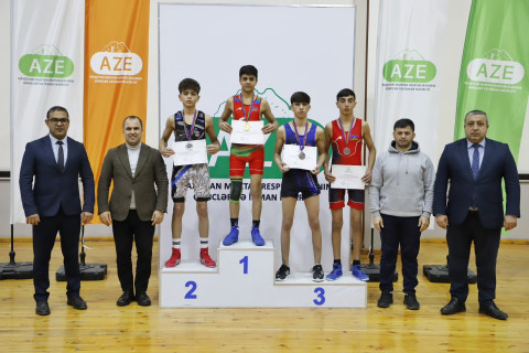 Sərbəst güləş üzrə Naxçıvan birinciliyi başa çatıb