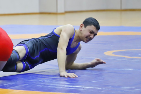 Sərbəst güləş üzrə Naxçıvan birinciliyi başa çatıb