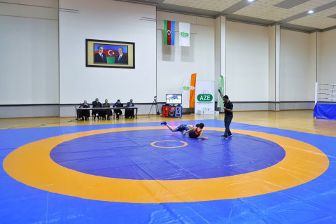 Sərbəst güləş üzrə Naxçıvan birinciliyi başa çatıb