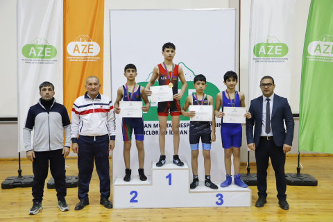 Sərbəst güləş üzrə Naxçıvan birinciliyi başa çatıb