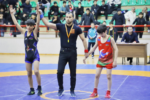 Sərbəst güləş üzrə Naxçıvan birinciliyi başa çatıb