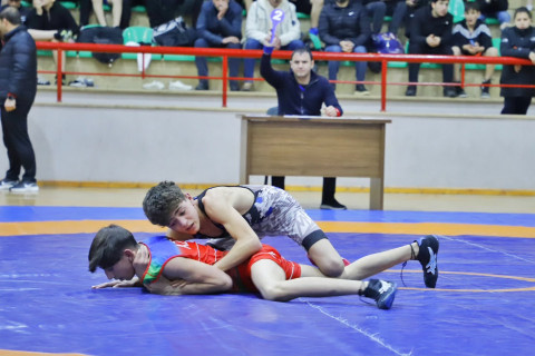 Sərbəst güləş üzrə Naxçıvan birinciliyi başa çatıb