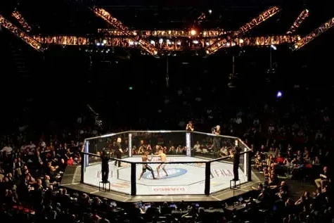 UFC bonusların həcmini artırıb və erkən qələbə üçün mükafat əlavə edib