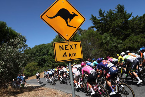 Kenquru velosipedçini vurdu, amma o yenə də birinci oldu - VİDEO