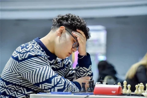 Айдын Сулейманлы со второй попытки не смог выиграть турнир в Вейк-ан-Зее