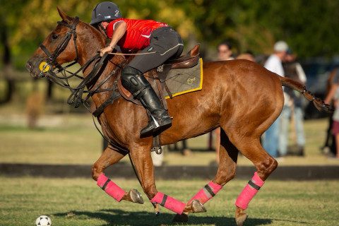 Bakıda keçiriləcək çövkən üzrə dünya çempionatına daha iki komanda vəsiqə qazanıb - FOTO