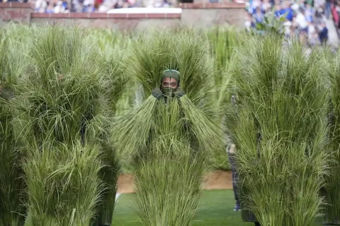 380 ağac kostyumlu iştirakçı, saatına 18,7 dollar - Stadiondakı nikahın PƏRDƏARXASI - VİDEO