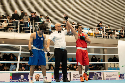 Определились призеры чемпионатов Азербайджана по боксу - ФОТО