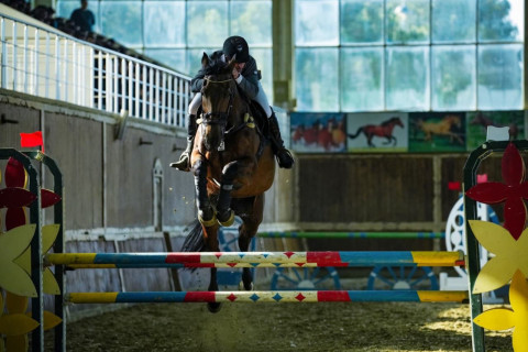 В Баку определились победители кубка по конкуру "Серхедчи" - ФОТО