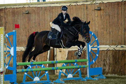 В Баку определились победители кубка по конкуру "Серхедчи" - ФОТО