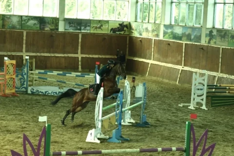 В Баку прошли соревнования по конкуру - ФОТО