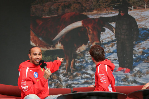 Lyuis Hemilton Melburnda ictimaiyyətə Maks adlı öküzünü təqdim edib