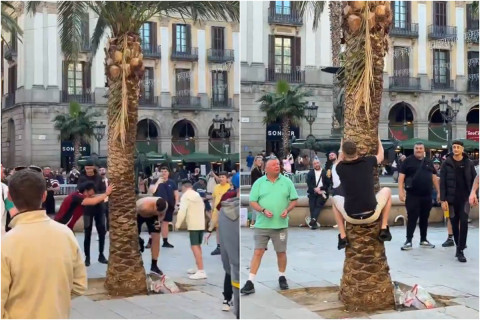 “Nyukasl”ın fanatları Barselonanı bir-birinə vurdular