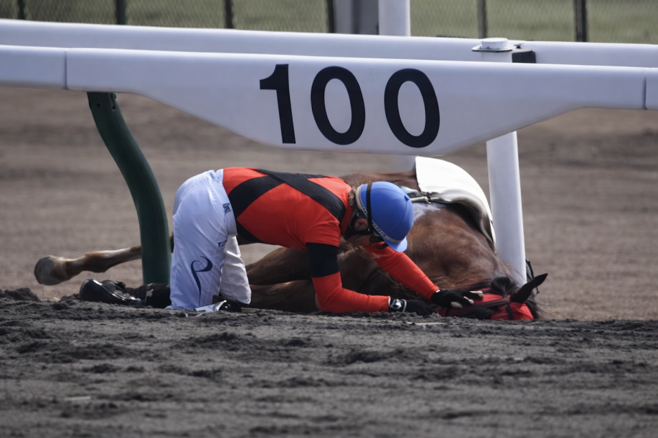 Hipodromda fədakarlıq: Jokey özünü unudub atının yardımına qaçdı - VİDEO