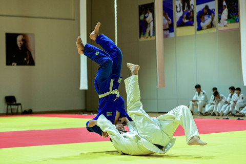 Gəncədə cüdoçular üçün kəmər imtahanı keçirilib - FOTO