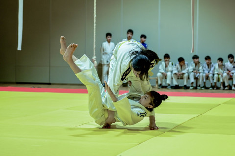 Gəncədə cüdoçular üçün kəmər imtahanı keçirilib - FOTO