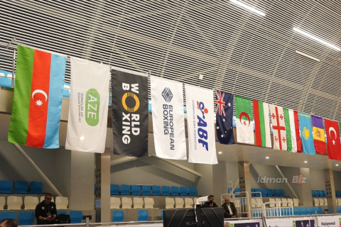 43 боксера представят Азербайджан на турнире "Великий шелковый путь" - ФОТО/ВИДЕО