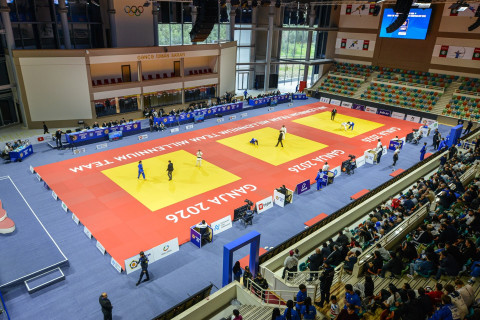 Azərbaycan cüdoçuları Avropa Kubokunun ilk günündə 13 medal qazanıblar - YENİLƏNİB + FOTO