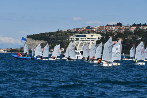 Azərbaycan yelkənçiləri Sloveniyada mübarizəni davam etdirirlər - FOTO
