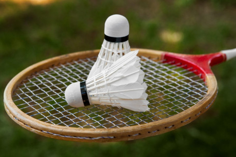 В бадминтоне начнут использовать синтетические воланы из-за нехватки перьев