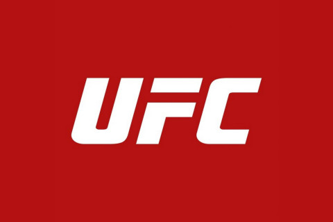 UFC представил постер турнира в Белом доме