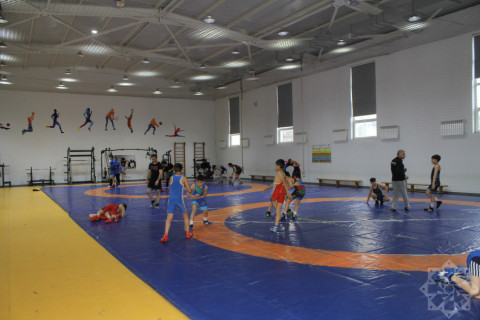 Gəncədə gələcəyin Olimpiya çempionları yetişir - FOTO/VİDEO