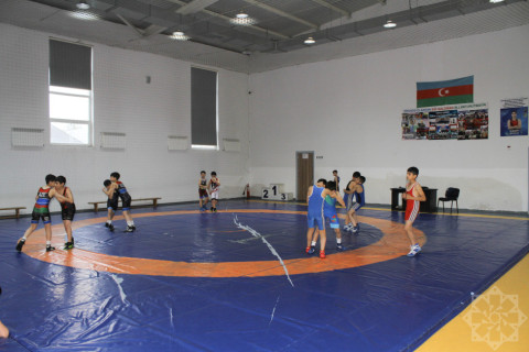 Gəncədə gələcəyin Olimpiya çempionları yetişir - FOTO/VİDEO