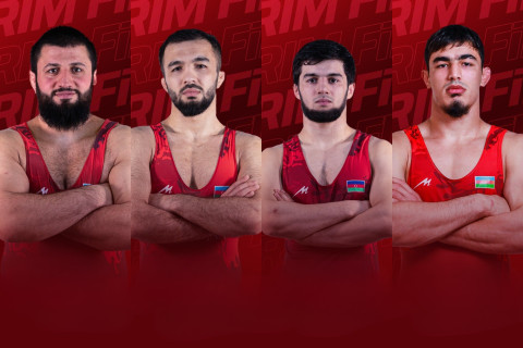 Четыре борца Азербайджана вышли в 1/2 финала Евро - ОБНОВЛЯЕТСЯ + ВИДЕО