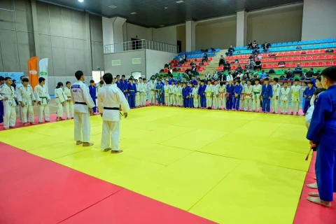 Naxçıvanda cüdoçular üçün kəmər imtahanı keçirilib - FOTO