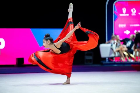 Bədii gimnastika üzrə Avropa kuboku başa çatdı - FOTO