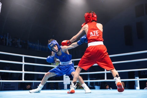 Azərbaycan boksçuları “Heydər Əliyev Kuboku 2026” beynəlxalq turnirində 45 medal qazanıblar - FOTO