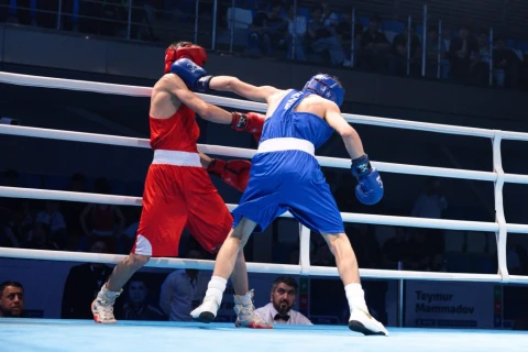 Azərbaycan boksçuları “Heydər Əliyev Kuboku 2026” beynəlxalq turnirində 45 medal qazanıblar - FOTO