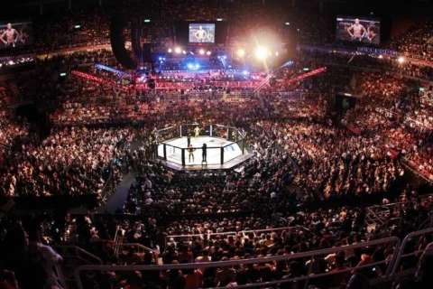 UFC анонсировал турнир в Абу-Даби