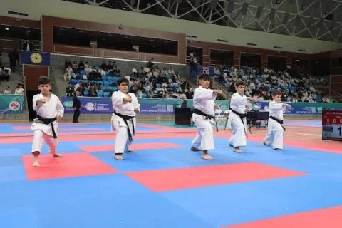 Mirəli Seyidovun xatirəsinə həsr olunan karate turniri başa çatıb