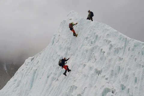 Everestdə tarixi rekord: Bir gündə 274 nəfər zirvəyə çıxdı - VİDEO