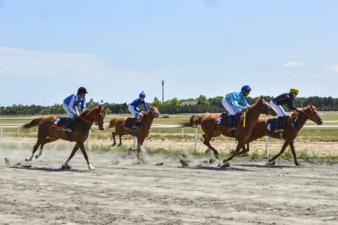 Cıdır yarışlarında qaliblər məlum oldu - FOTO