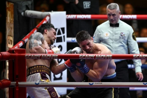 Усик нокаутировал Верхувена и защитил титул WBC