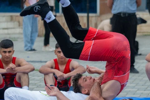 Lənkəranda güləş festivalı keçirilib