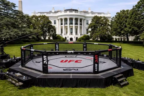 Суд разрешил провести турнир UFC на лужайке Белого дома