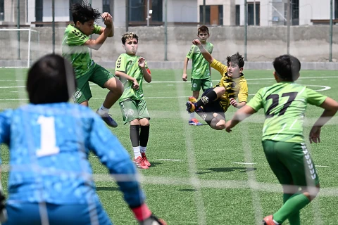 AFFA-nın Elit layihəsi çərçivəsində seleksiya turniri keçirilib - FOTO