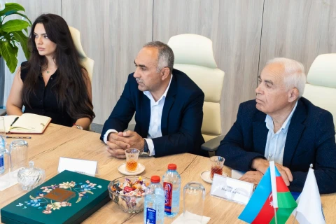 Güləş Federasiyasında yeni komitə fəaliyyətə başlayıb - FOTO