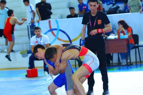 Məktəblilərin Respublika İdman Olimpiadasında güləş yarışları başa çatıb