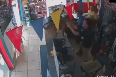 Пес запрыгнул на прилавок, празднуя гол Эквадора Германии - ВИДЕО