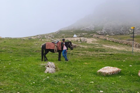Qubada “Dağçılıq və Təbiət Turniri - Qrız 2026” təşkil edilib - FOTO