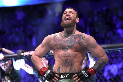 UFC 329 побил рекорд промоушена по кассовым сборам