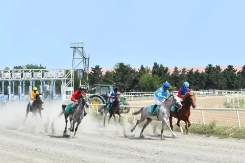 Binə Atçılıq Mərkəzində cıdır yarışları keçirilib - FOTO