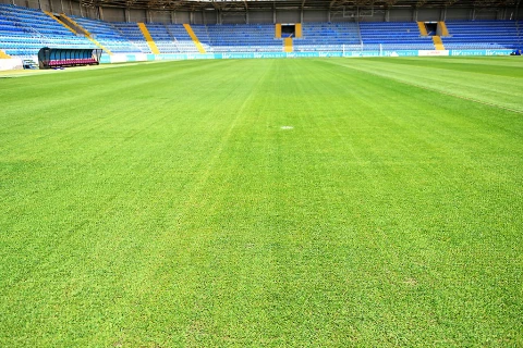 “Liv Bona Dea Arena”da ot örtüyü yenilənir - FOTO