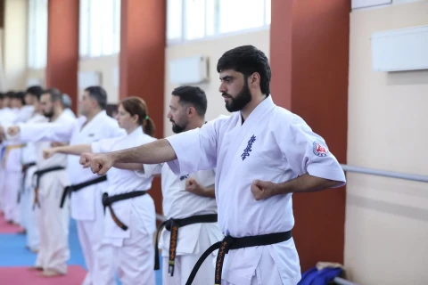 Bakıda karate üzrə texniki seminar başa çatıb - FOTO