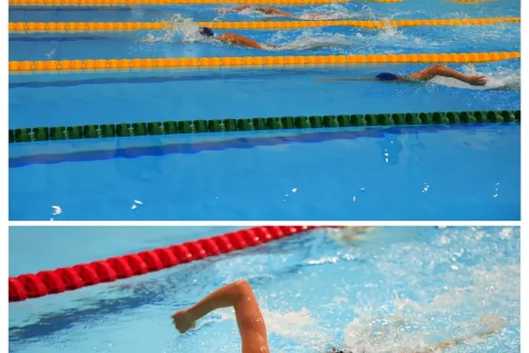 “Ganja Cup 2026” üzgüçülük yarışı başlayıb - FOTO