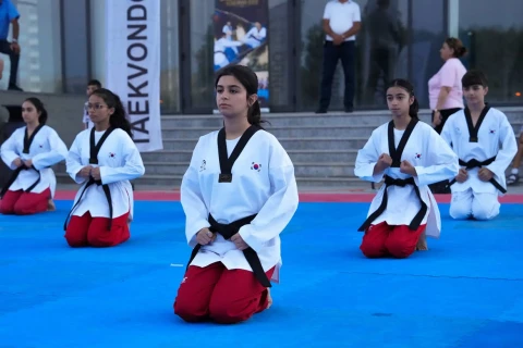 Antena Parkında taekvondo şousu keçirildi - FOTO